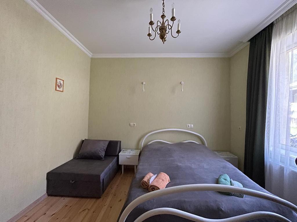 Family Hotel 7 Sisters 카즈베기 외부 사진